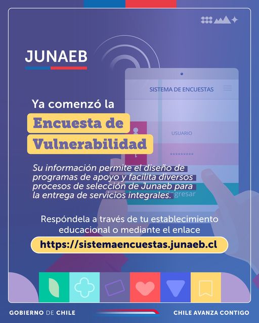 ENCUESTAS VULNERABILIDAD